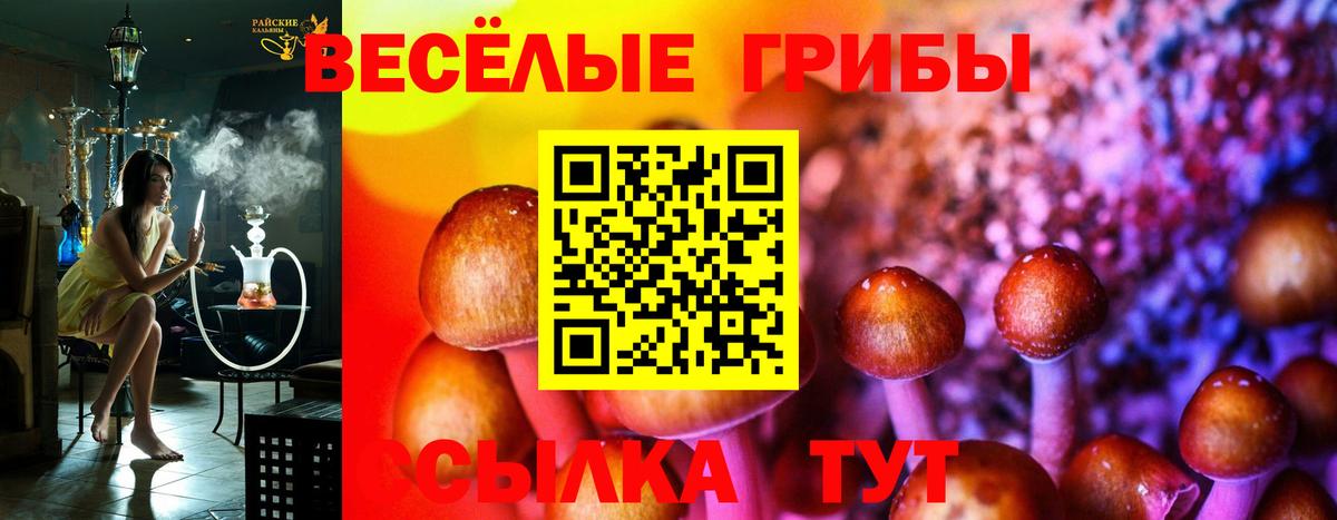 Галлюциногенные грибы мицелий  Вход с VPN  Краснокамск 